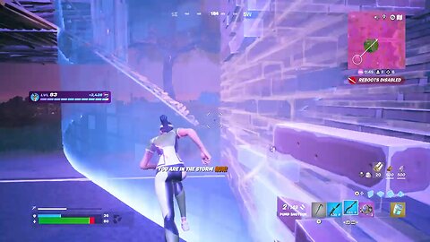 Fortnite FINAL KILL