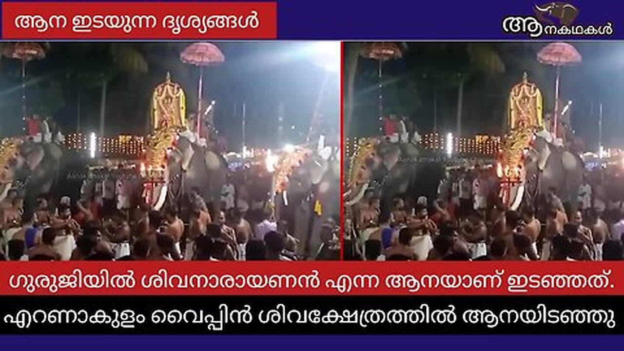 കാരണമില്ലാതെ ഇടഞ്ഞ ആന പാപ്പാനെ അടിച്ചു തെറിപ്പിക്കുന്ന ദൃശ്യങ്ങൾ _ Elephant attack kerala 2025