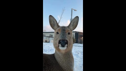 So cute