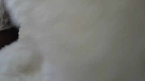the