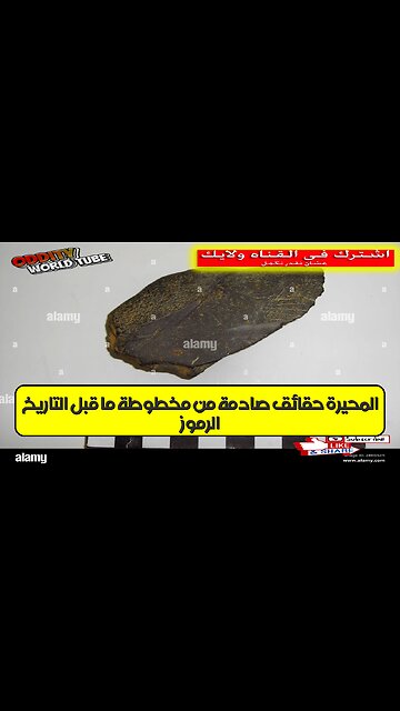 الرموز المحيرة: حقائق صادمة من مخطوطة ما قبل التاريخ! #تاريخ_قديم #ألغاز #حضارات