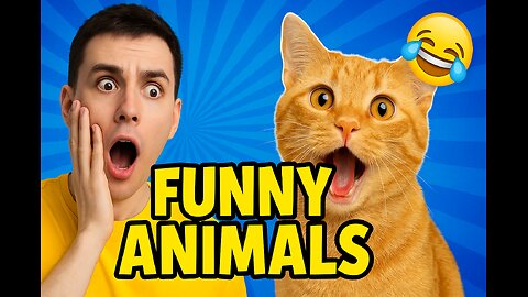 "These Pets Are Natural Comedians – You’ll LOL!"