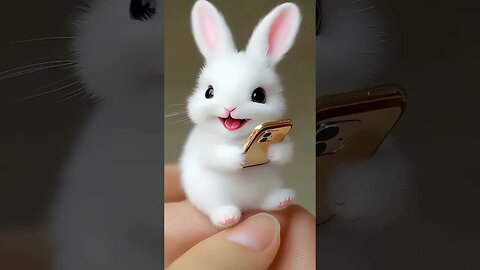Bunny 🐰❤️