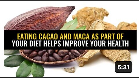 Cacao and Maca Intake: A Dietary Boost for Improved Health