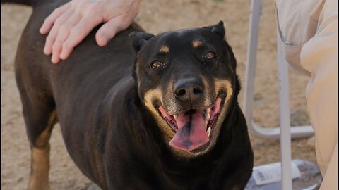 Gus and his friend Rona survived the deep desert, now it's moving day!