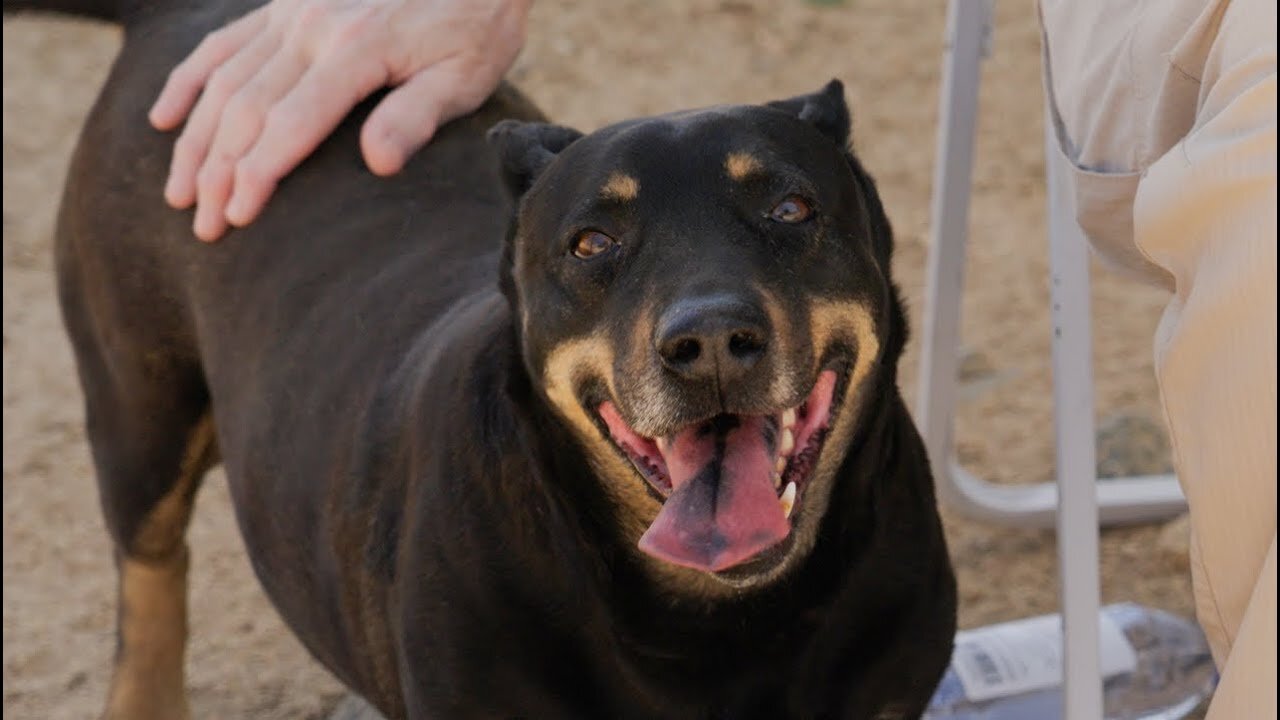 Gus and his friend Rona survived the deep desert, now it's moving day!