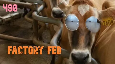 Midnight Oblivion Pt 490: Factory Fed