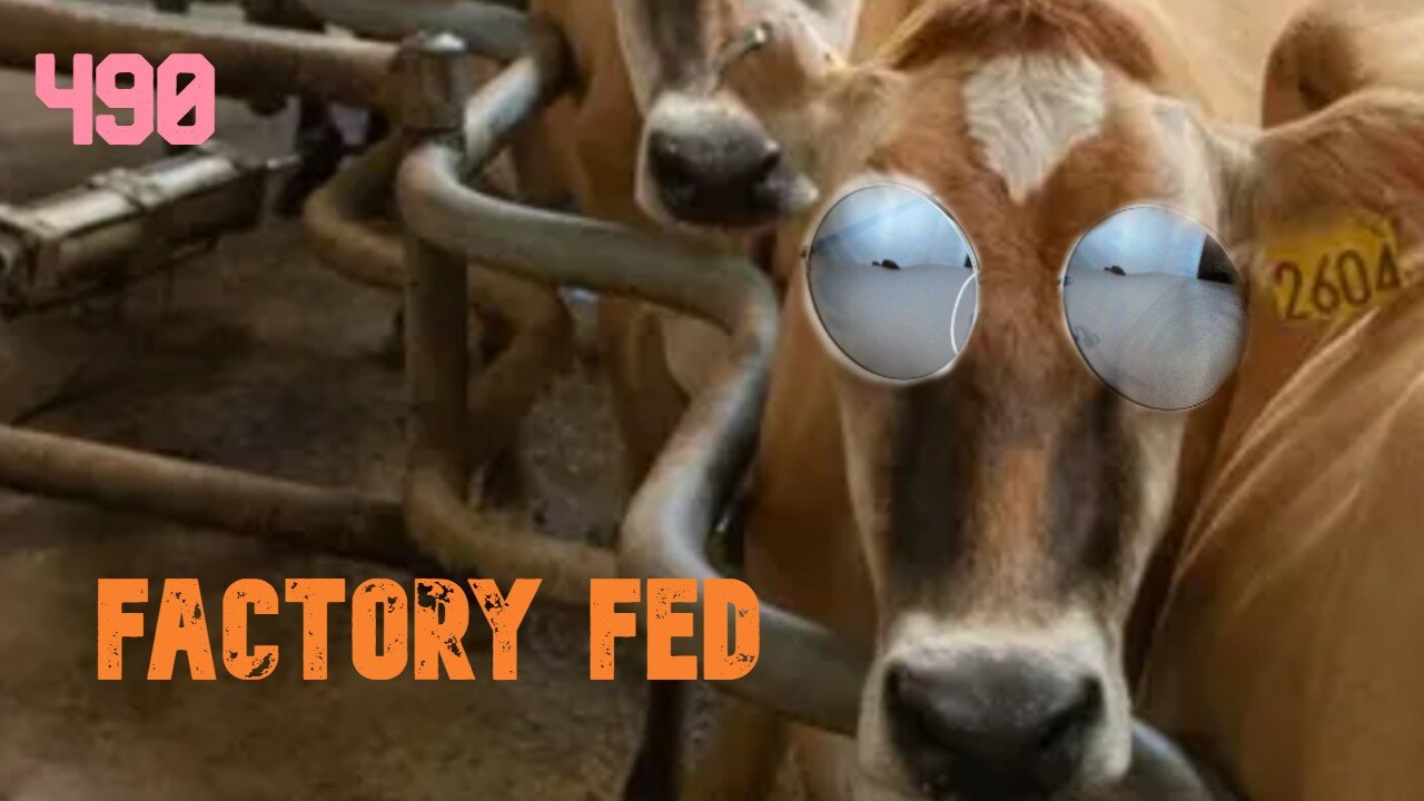 Midnight Oblivion Pt 490: Factory Fed