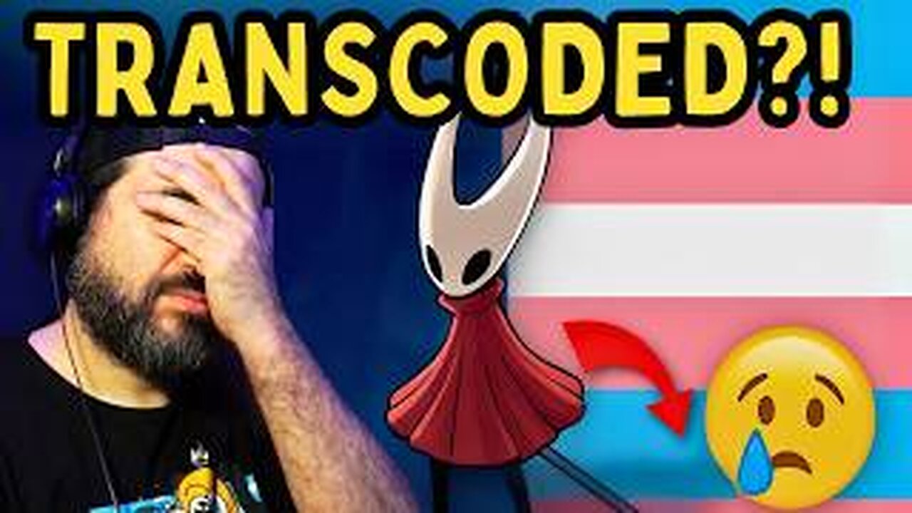 Hornet Is TRANS-Coded?! The Hollow Knight Silksong Controversy