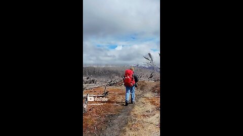 New Camping Video👆🏼#Subscribe #Alaska #Camping #Cabin #Outdoors #Nature #Upinalaska #fyp #Mountain