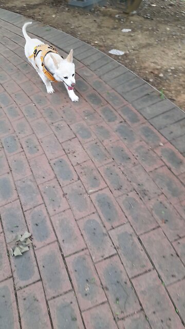 20250701. I Believe God.