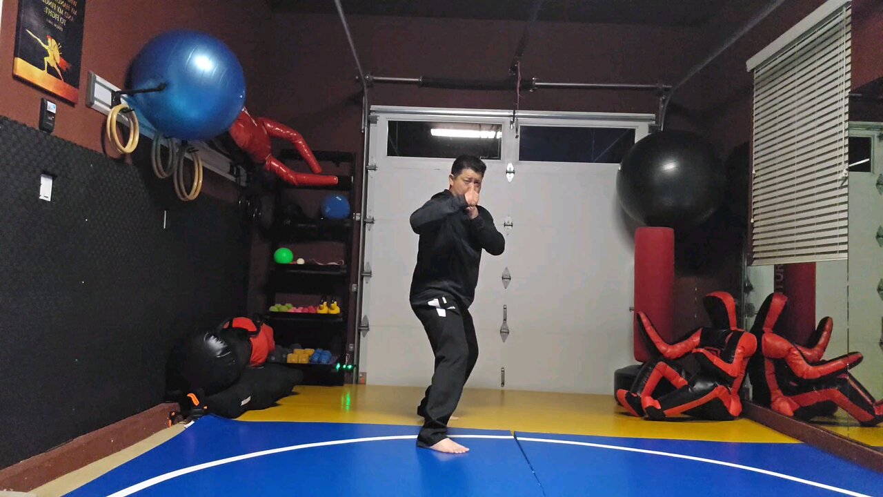 WTD 2 Step Kick Combination 79