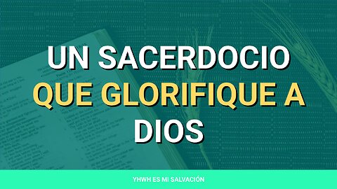 👑 ️Un sacerdocio que glorifique a Dios | Hebreos 5:1-10