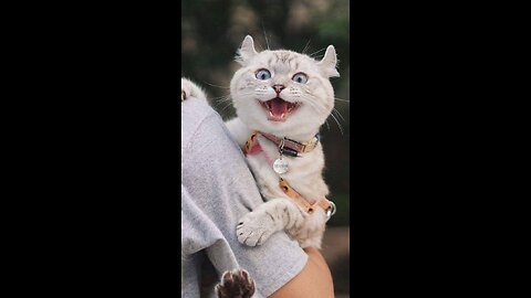 God fortsättning på Julen.