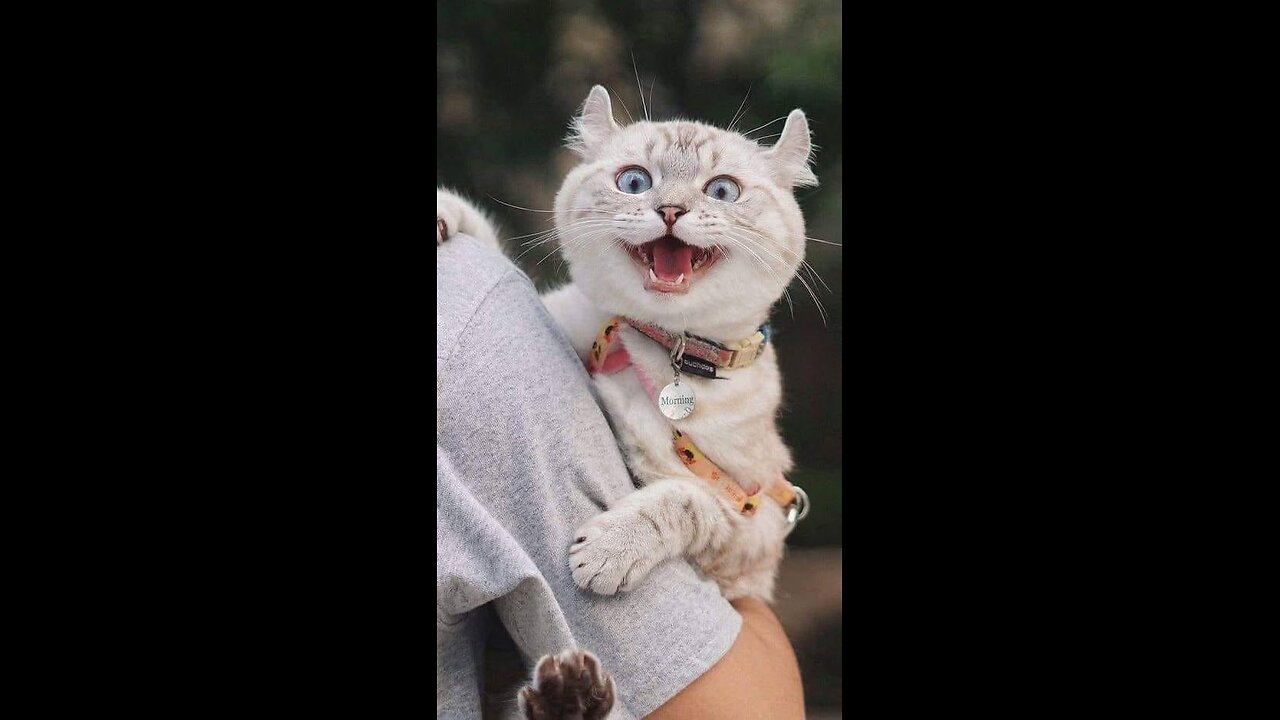 God fortsättning på Julen.