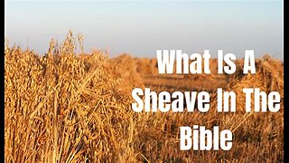 062825 Who is his echo of the Bible who organized My word? The gift is only within Mitchell
