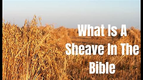 062825 Who is his echo of the Bible who organized My word? The gift is only within Mitchell