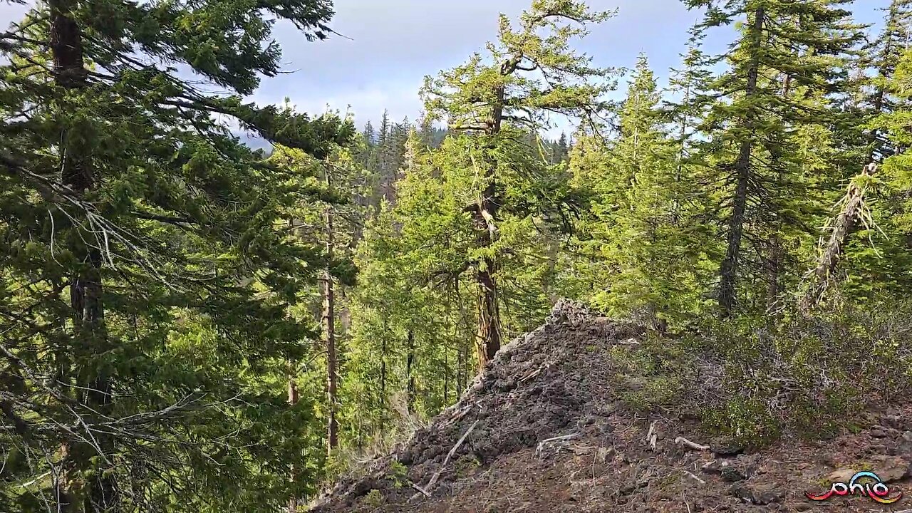 Hiking With PhLo 9