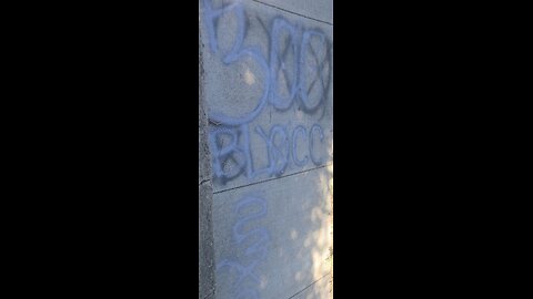300-Block Gang 08062025