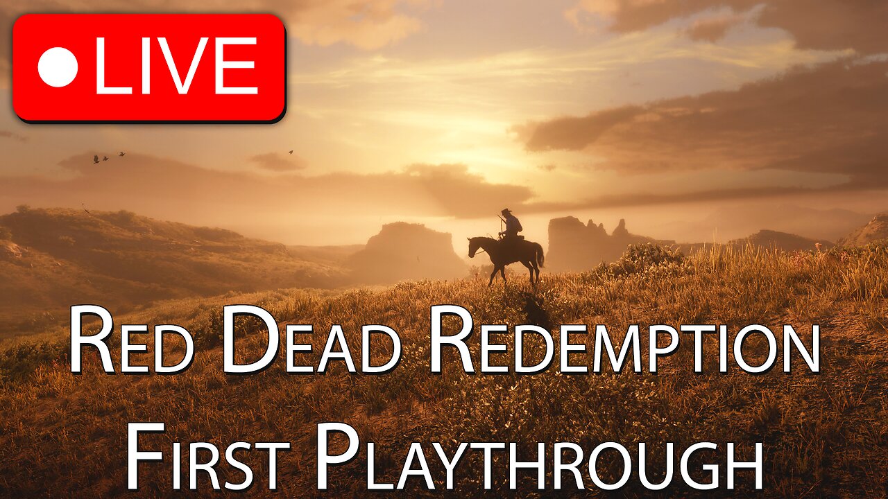 First Playthrough of Red Dead Redemption Part 2