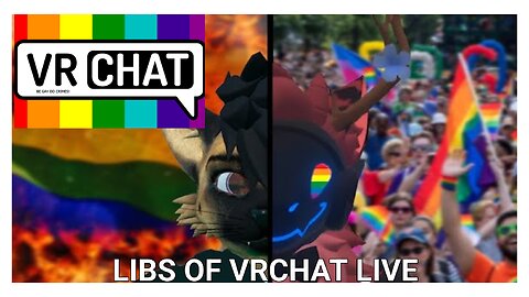 Trying to Survive the Liberal Hivemind In vrchat