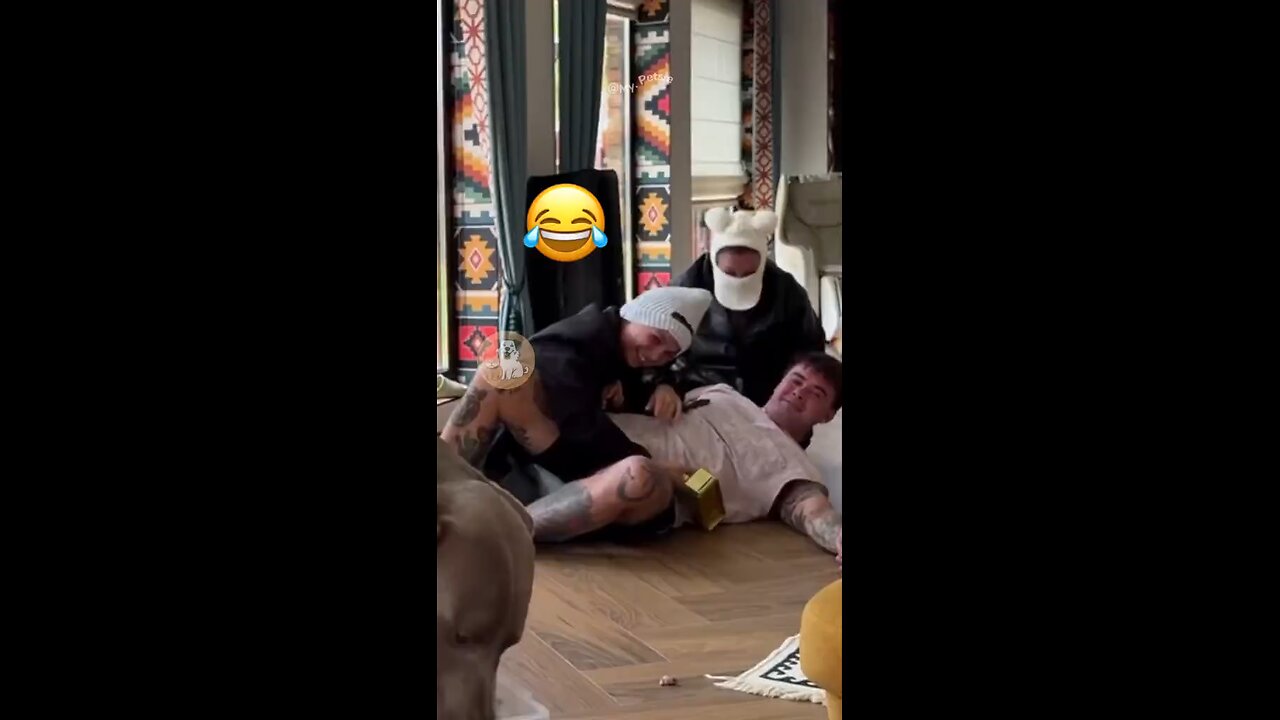 Funny Dogs