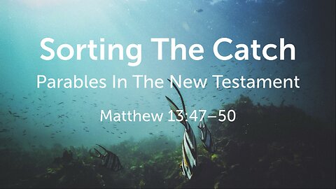 Sorting The Catch