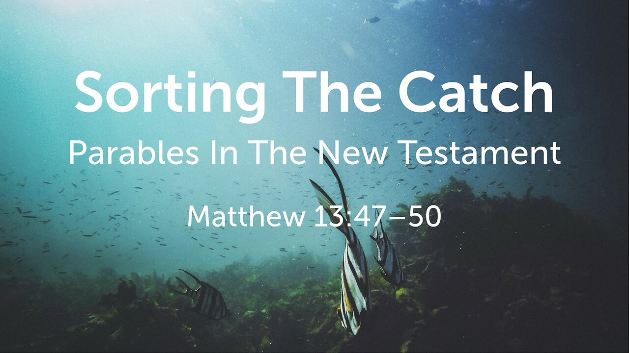 Sorting The Catch
