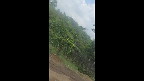 Life is a journey , enjoy the ride . Drive more , very less 🤘💃