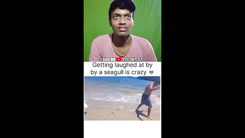 🎮 Live On YouTube – @Syloks37 #syloks37 #funny #relatable #fyp #viral #live #react #clips