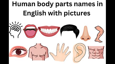 Human body parts names in English with pictures