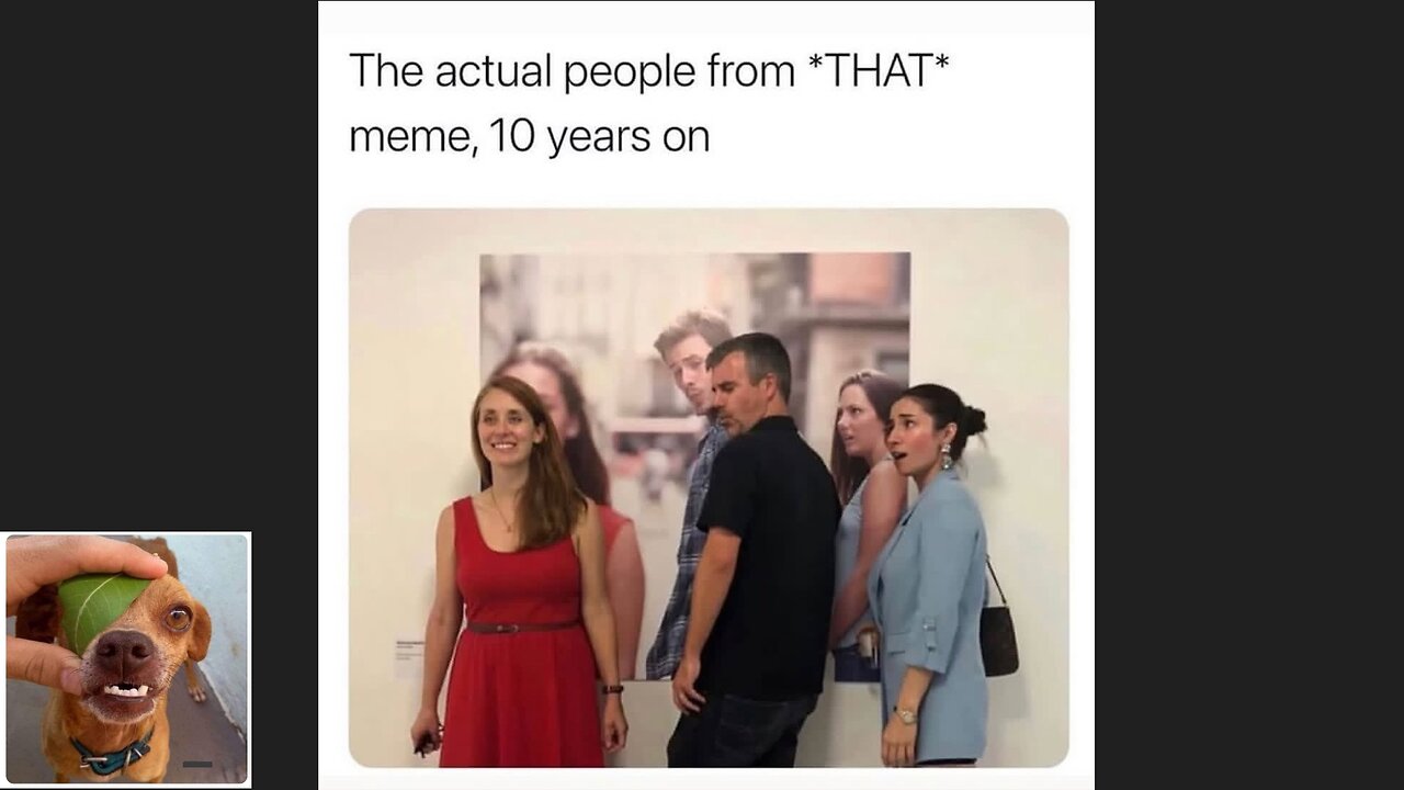 Memes That Will 99.0323% Make You Laugh. (e547)