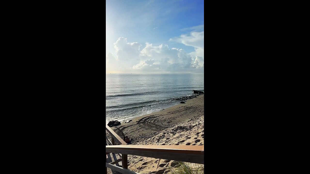 Livestream Replay | Coral Cove Park