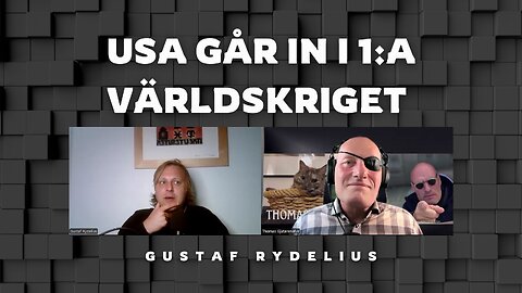 Därför går USA in i första världskriget. Det är inte som man lärt sig i skolböckerna....