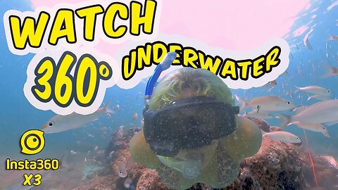 🐠 Fishy Fun in 360°! 💦 Bikini Swim with Insta360 X3