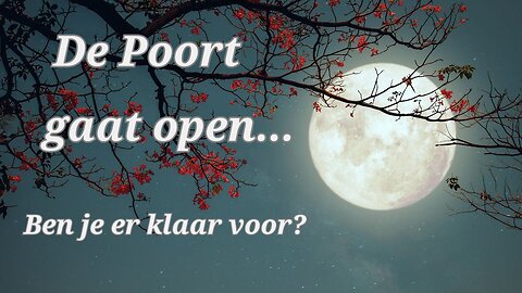Volle maan in Boogschutter 🌕♐ De Grote Test: Volg je je Ziel of je Verleden?
