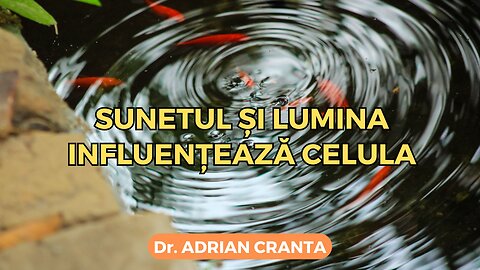 Sunetul și lumina influențează celula