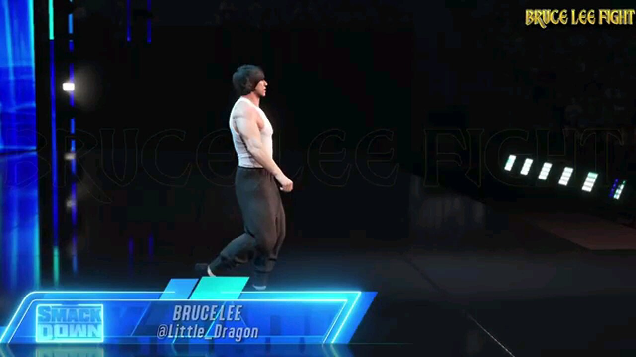 Brucelee fight