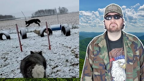 It's A Snow Day! First Snow Day For Floofala Fox And Serafina Fox! (SaveAFox) - Reaction! (BBT)