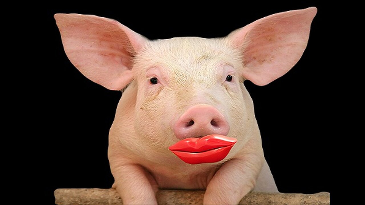 Putting lipstick on a Pig is your City's SWISS C-40 Climate Action