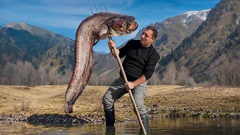 This Is How You Cook A GIGANTIC Fish To Perfection