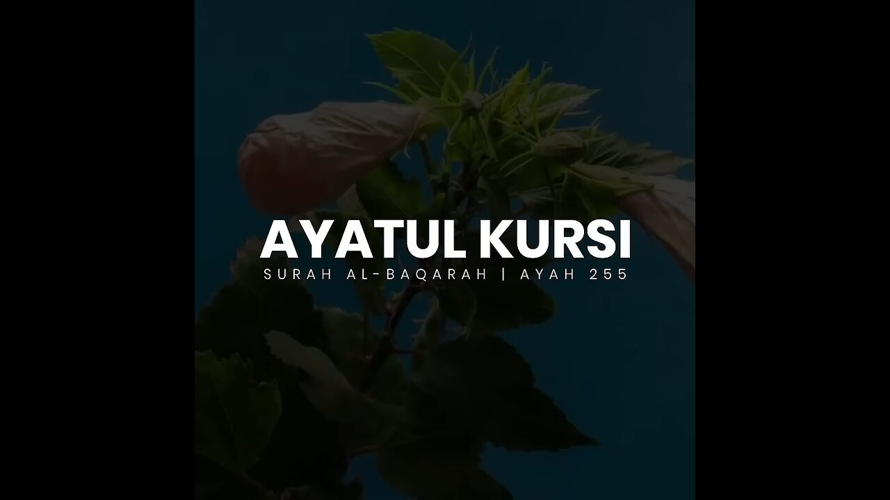 Beautiful recitation of Quran