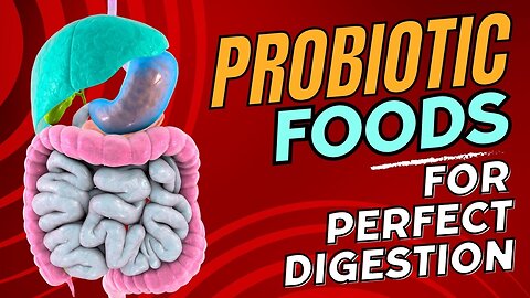 Unlock Gut Harmony with These Top Probiotic-Rich Foods for Digestive Bliss! A43