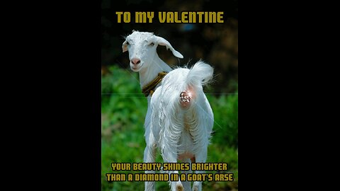 Goat lovers be gone