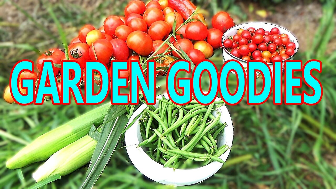 Harvesting Vegetables for A Long Winter Ahead