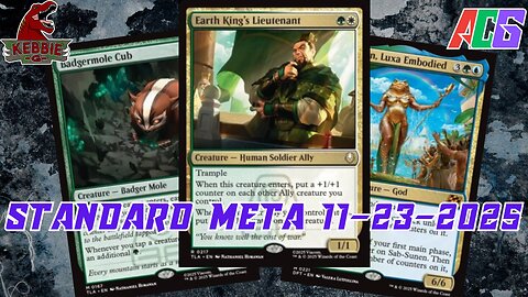 Watching The Standard Meta 11-17-25 to 11-23-25 | Magic the Gathering | MTG Metagame Analysis