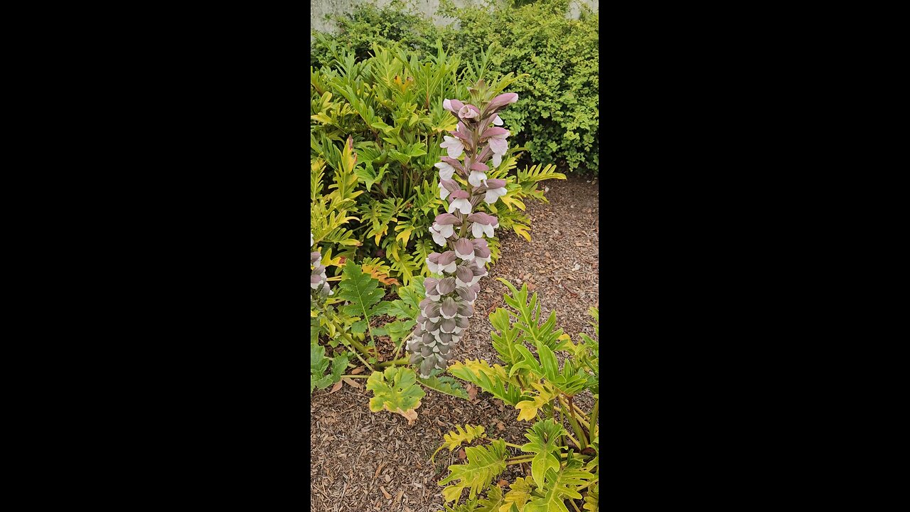 It's a beautiful Saturday 😍😁