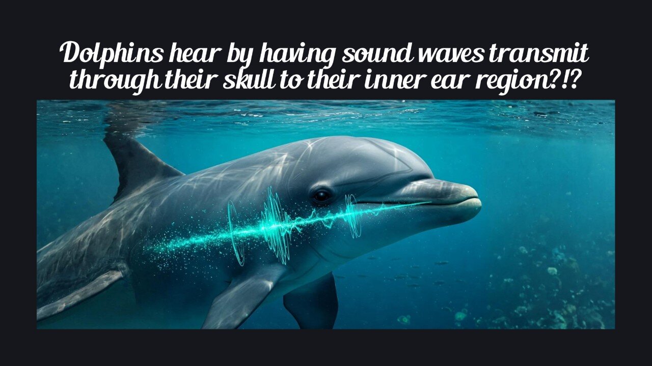 Fun Fact for May 13th 2025 Pt 2