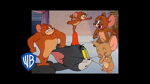 TOM& JERRY