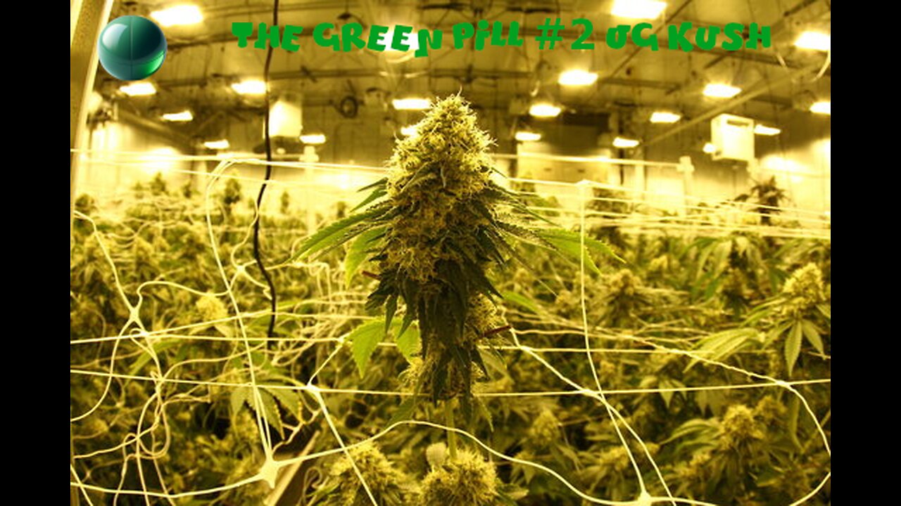 The Green Pill #2: OG Kush [Reupload]
